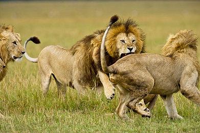 太空武士的起源 《星际战甲1999》更新实机预告